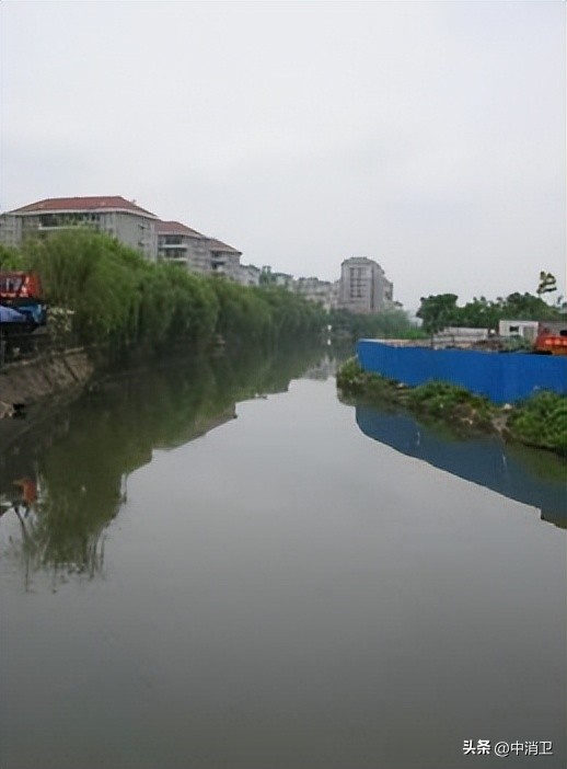 虫害控制的最新标准,虫害控制预防分哪几个阶段