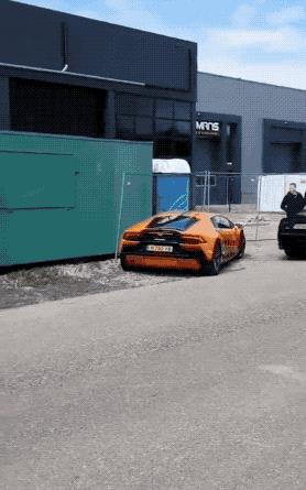 30张活久见的对比照,鳄鱼被电鳗电死的视频