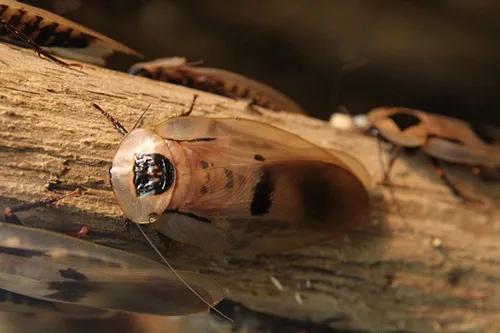 亲子玩的地方推荐上海浦东新区,浦东适合亲子游的地方推荐