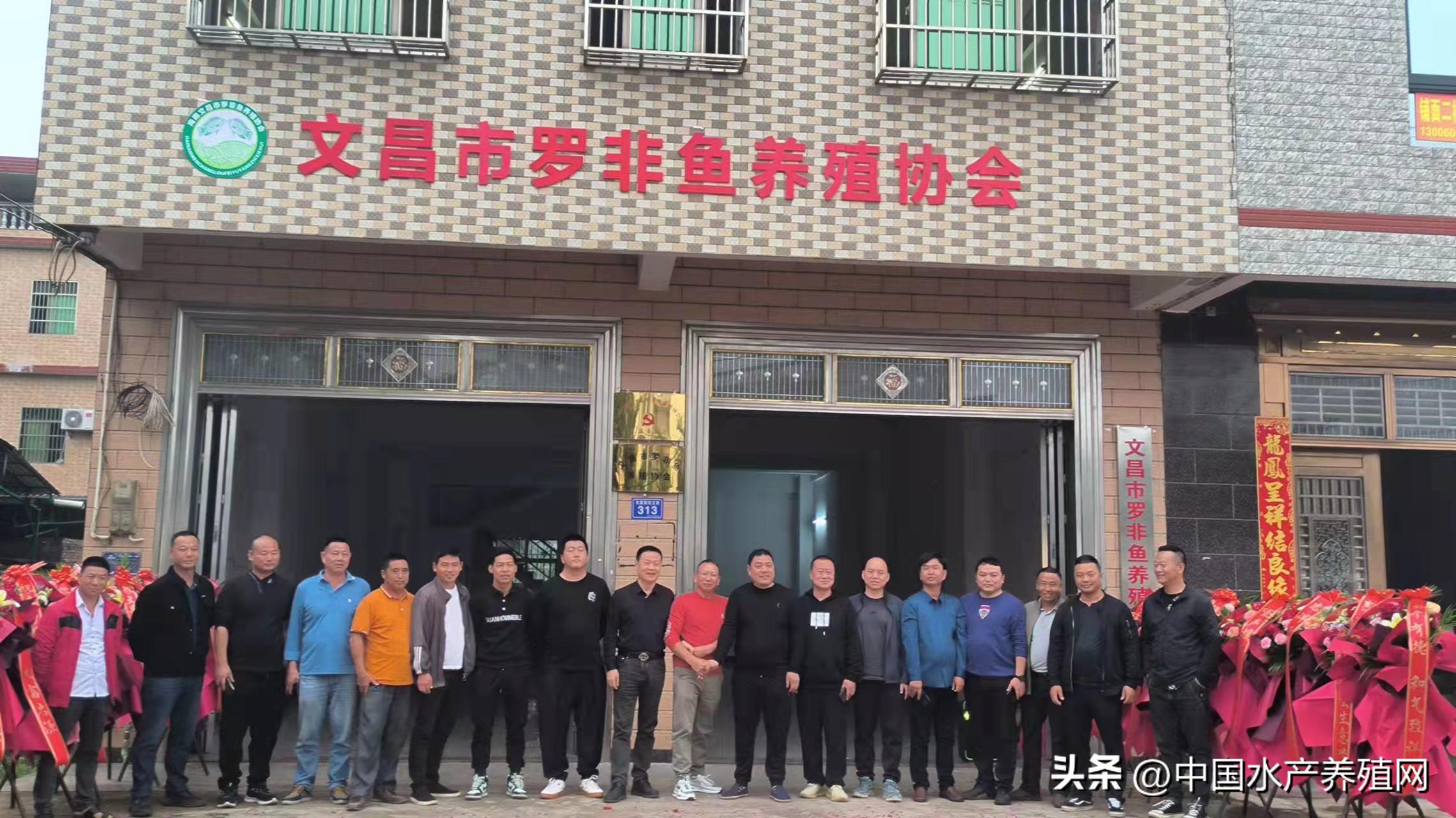 海南罗非鱼产业现状,海南罗非鱼产业