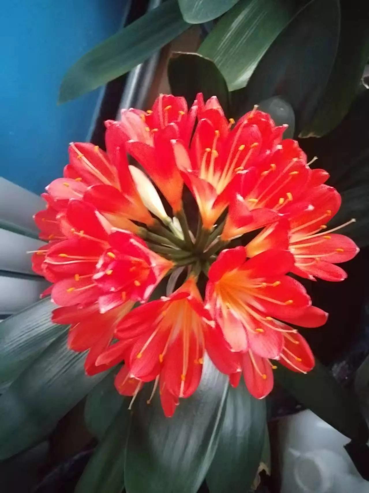 我的业余爱好介绍,我的业余爱好英语