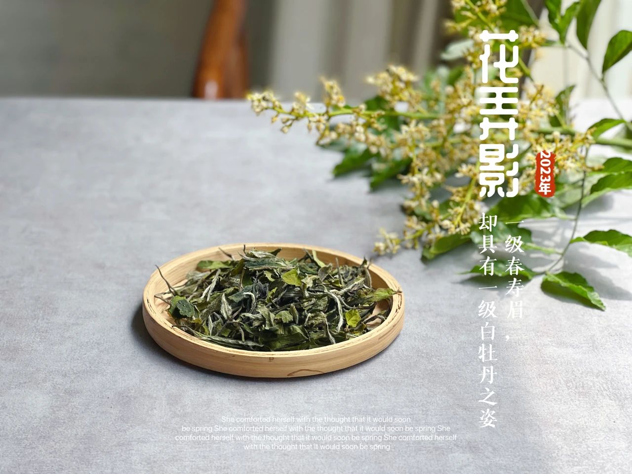 1斤白茶要多少斤青茶,一斤白茶需多少茶青