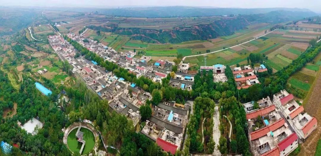 大山里的民宿原生态旅游,浙江藏在大山深处的民宿