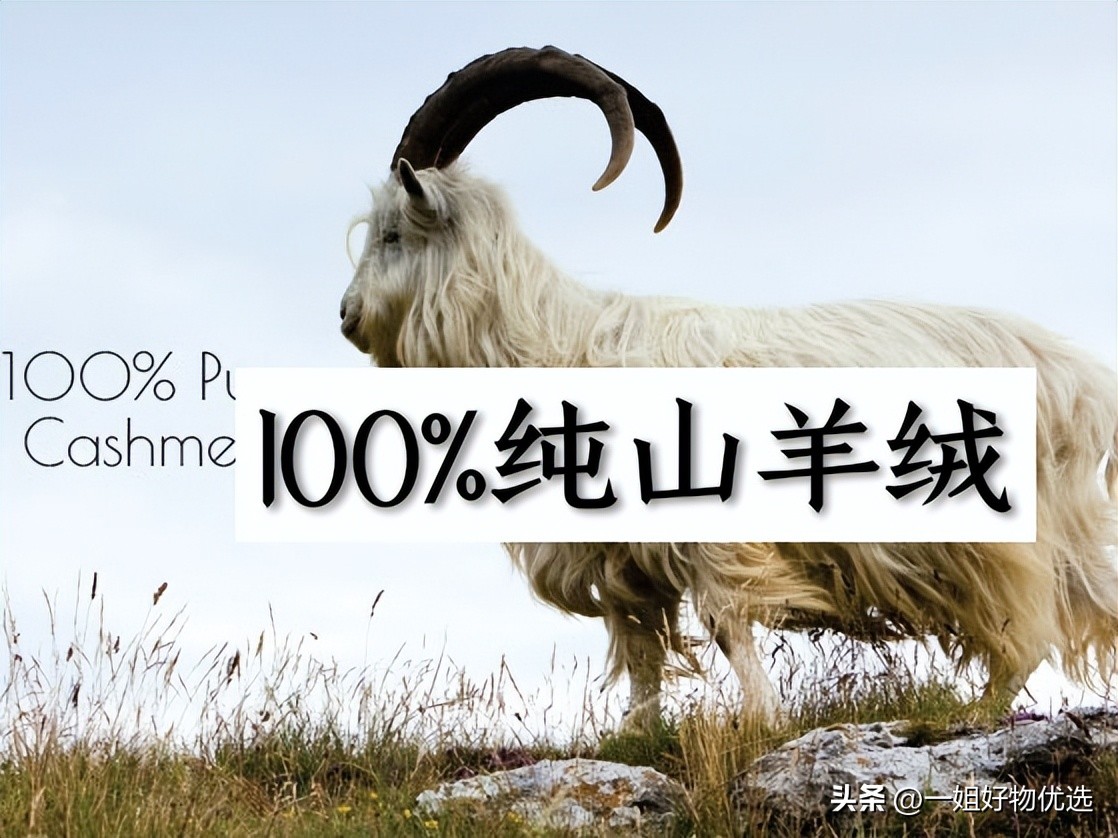 羊绒围巾哪个牌子好280以下？