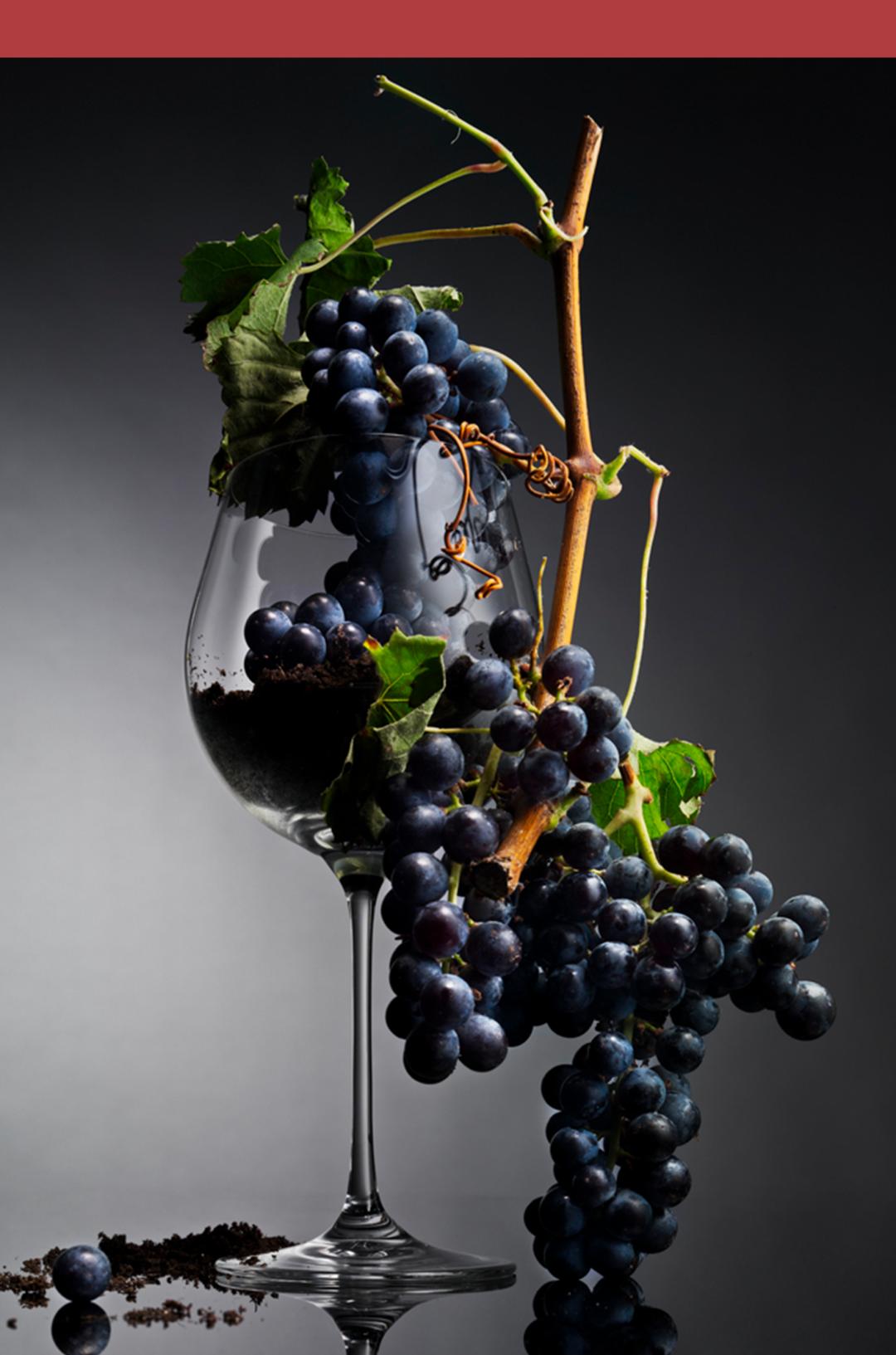 为什么喜事都要看黄历,喝白茶看黄历