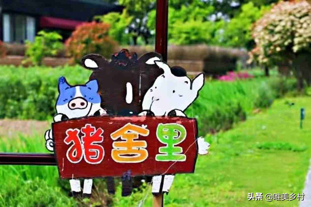 怎样打造一个生态庄园,怎样打造特色农家庄园