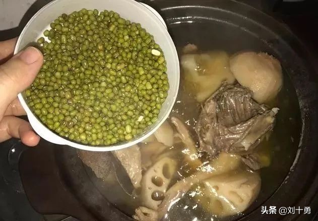 鸽子最好吃的方法,鸽子好吃的做法不放辣椒