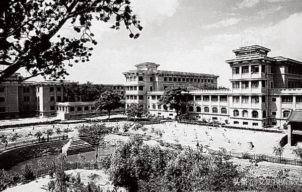 1996年，台儿庄人民向一老妇承诺“台儿庄就是您娘家”，因何？