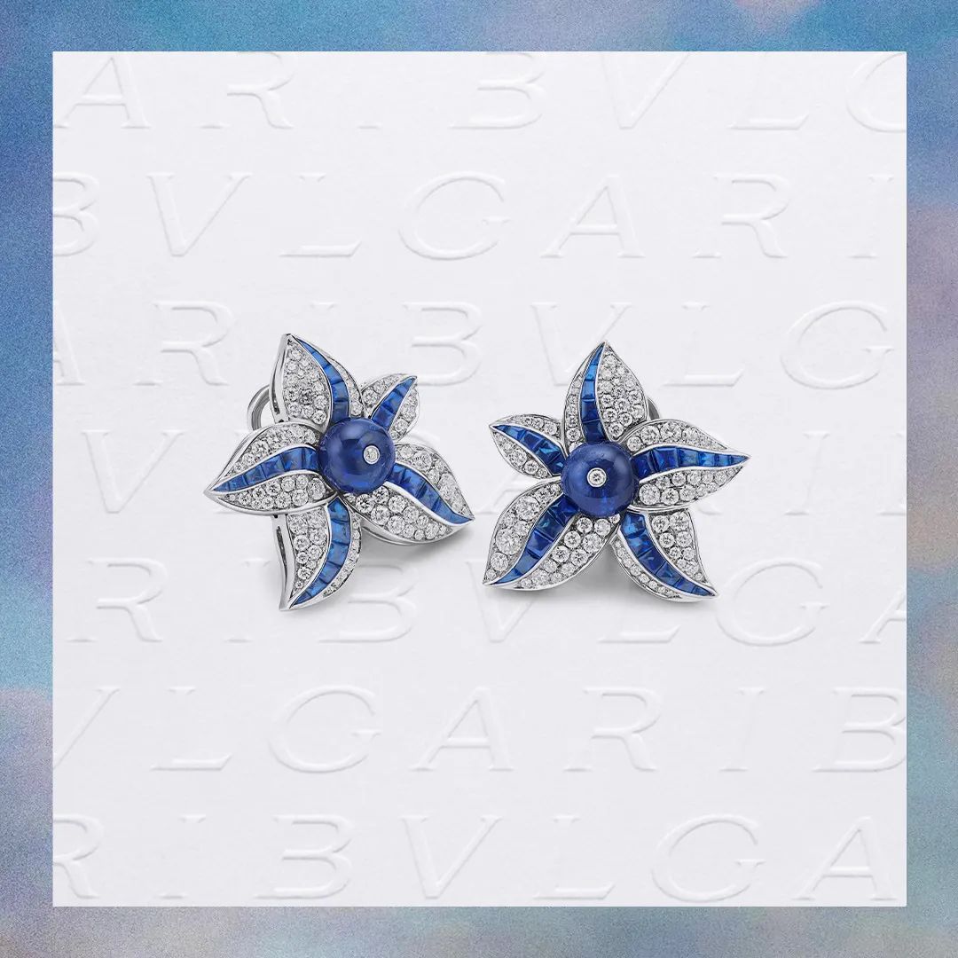 宝格丽明星珠宝晚宴直播,宝格丽晚宴明星珠宝价格