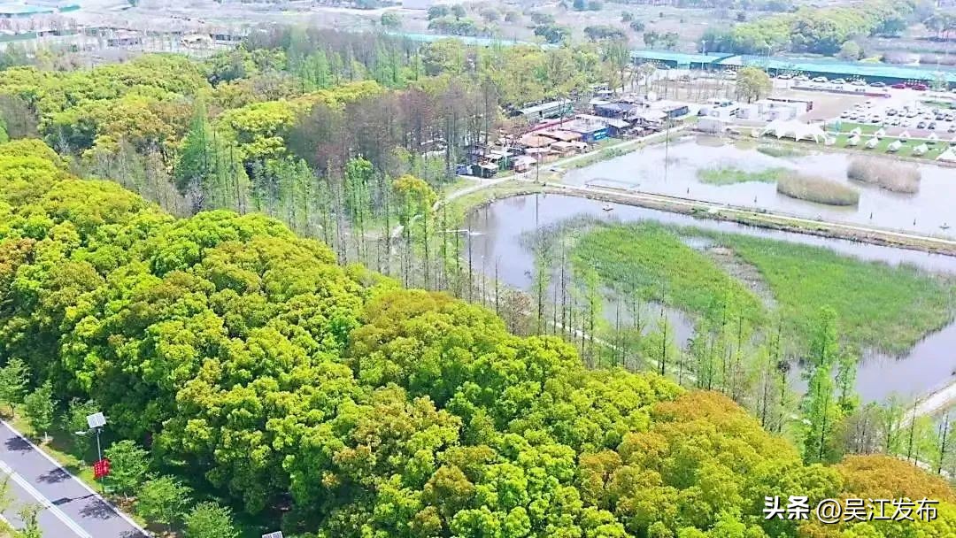 23处共享绿地将对外开放,宿迁开放44处“共享绿地”