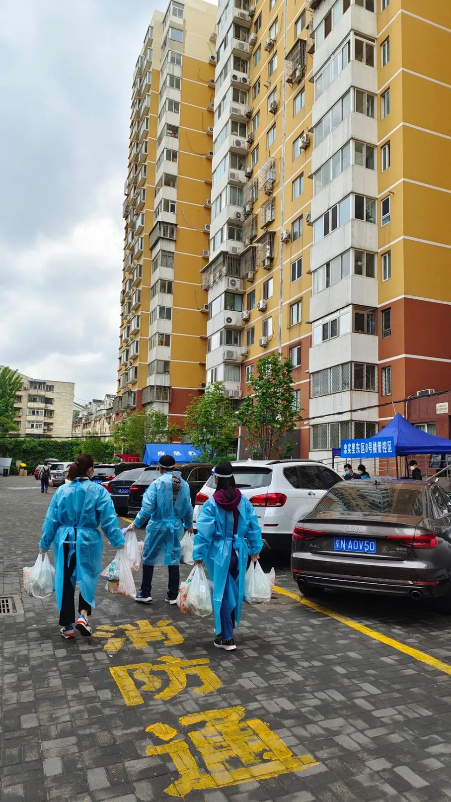 跑腿服务食材配送代排队,跑腿代购同城急送