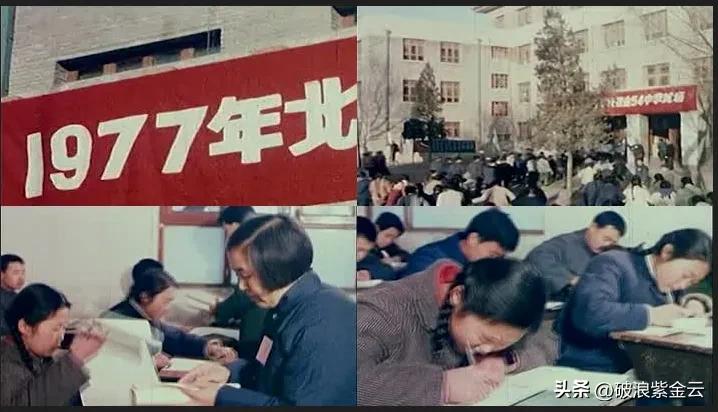 失业潮增加的原因,失业潮后的发展趋势