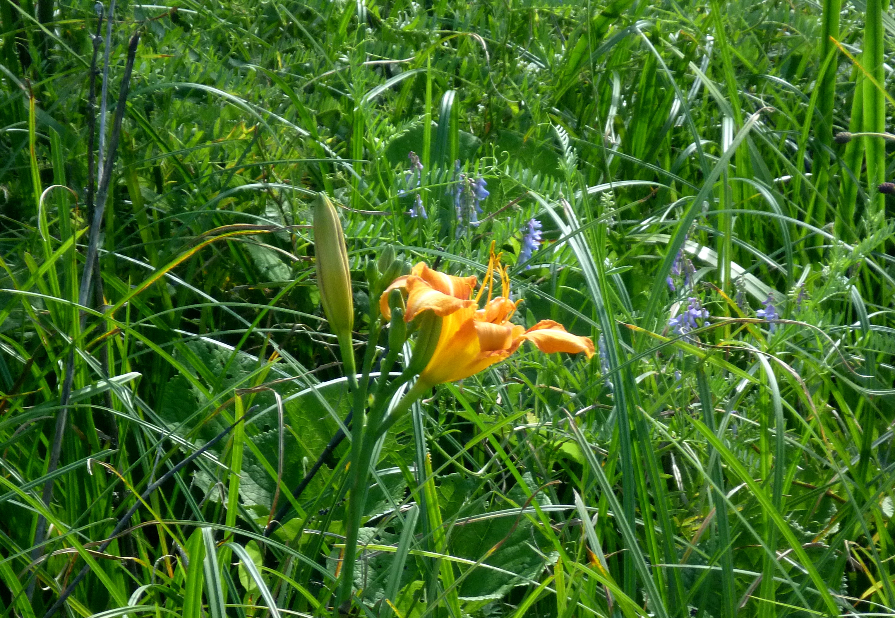 带你欣赏大九湖的美景,大九湖之旅