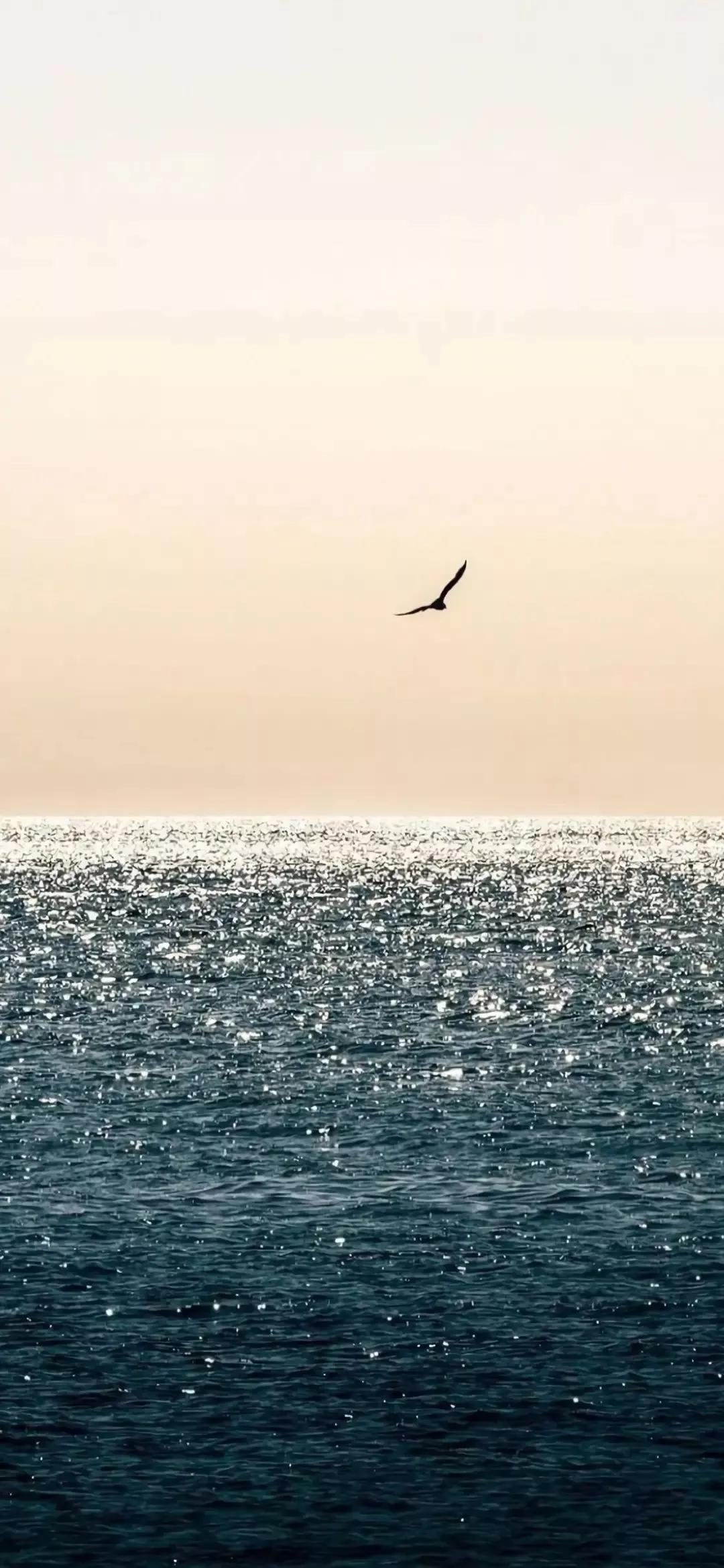 治愈微信聊天背景,微信聊天背景图片干净治愈可爱