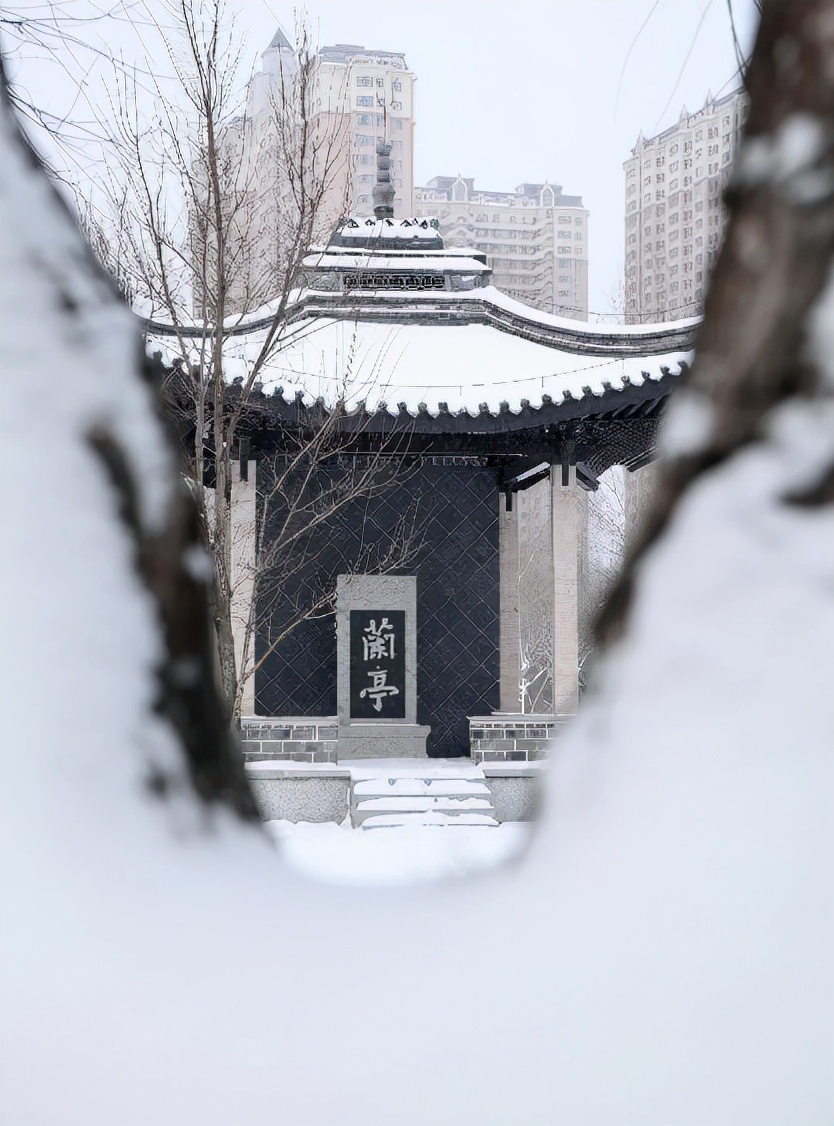「雪落象牙塔」东北农业大学:银堆玉砌雪漫飞花