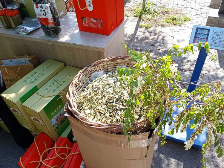 济南3-4月份赏花适合去哪里旅游,五一济南哪里好玩