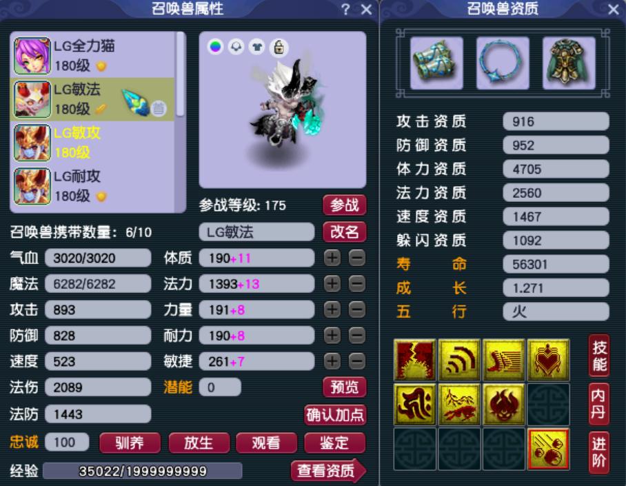 梦幻西游普通打造攻略大全,梦幻西游龙宫带动物套还是定心套