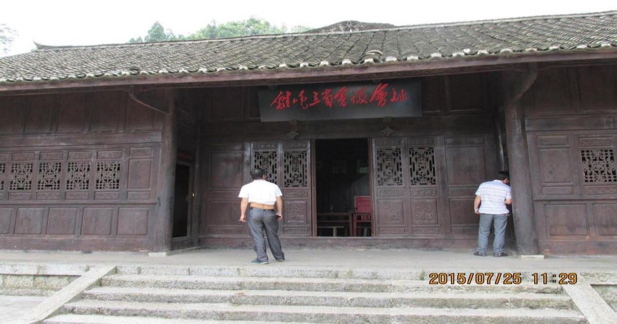 忆起那些年：师范母校，梧桐花开