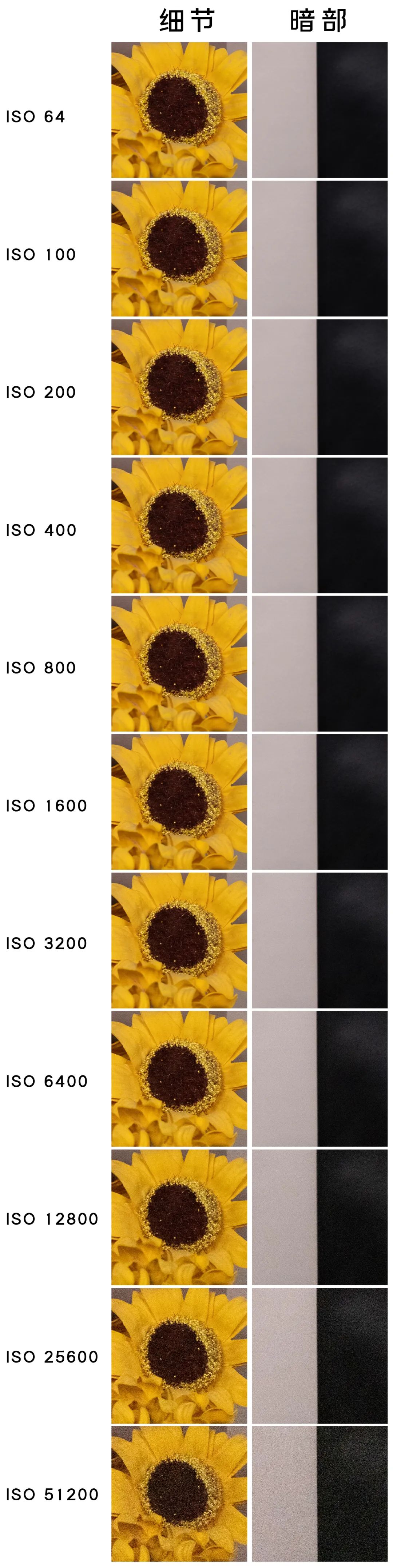 富士xh2高像素评测,富士XH2和XH2S视频性能对比