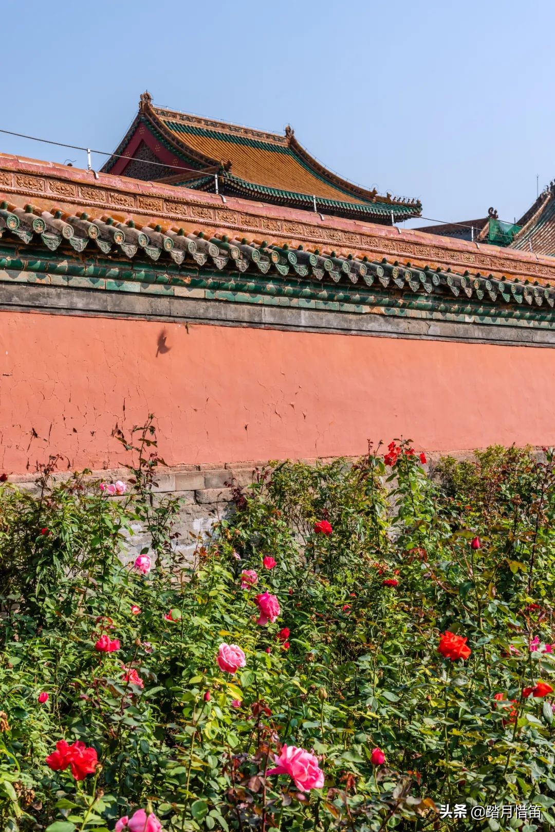 东北沈阳疫情最新通报,东北沈阳疫情