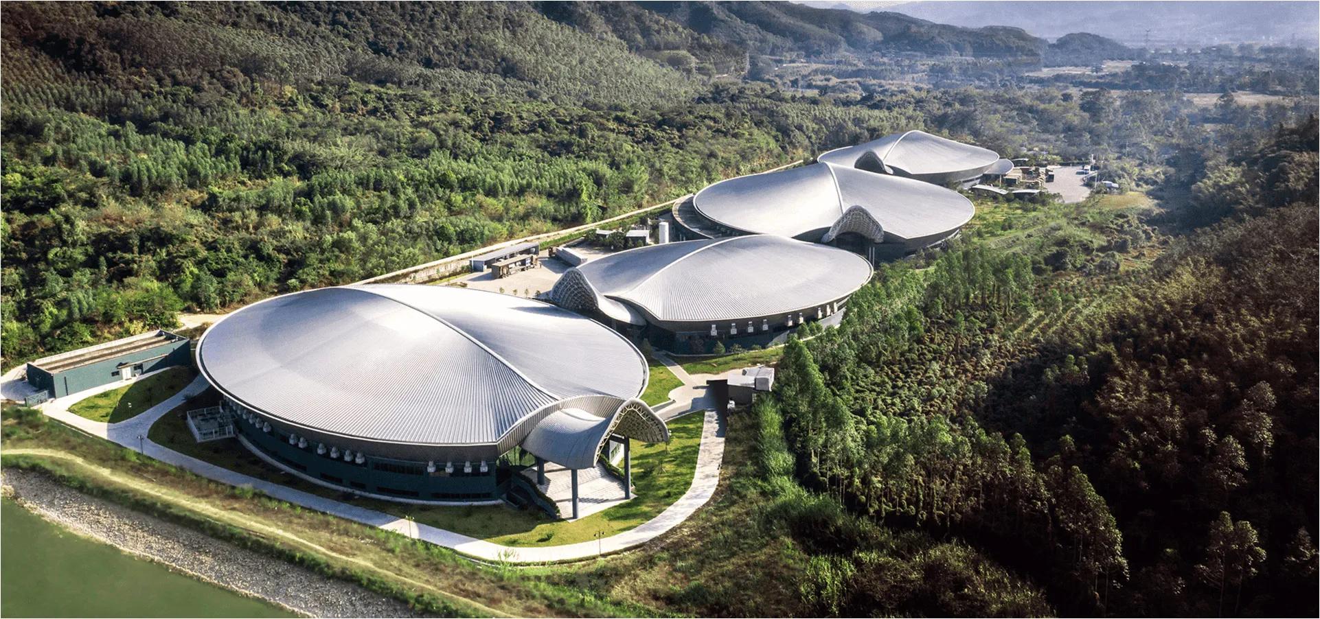 阿根廷冠军归来,阿根廷国家足球队抵达