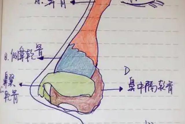 如果蚊子飞进耳朵怎么样,蚊子飞进鼻子有什么感觉