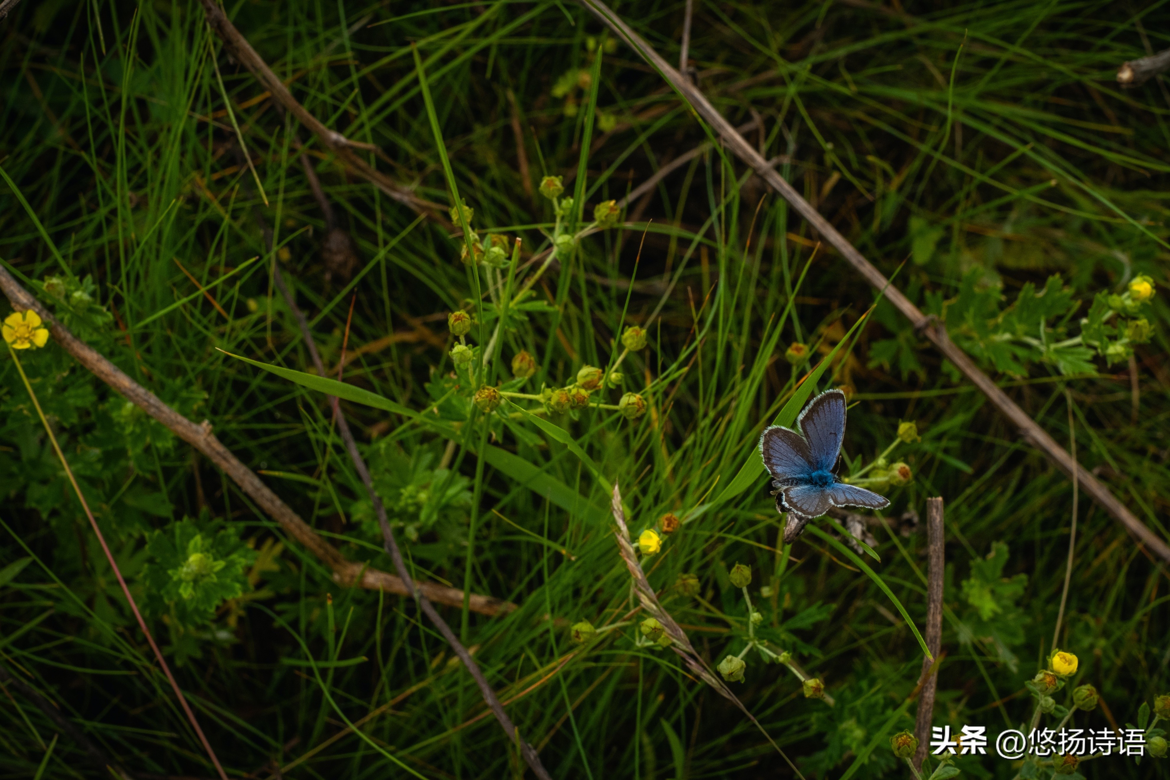 一个人的富贵和祖上有关吗,祖上积德关系家族命运