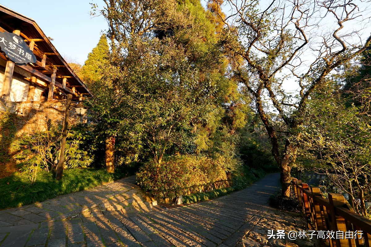 福州最新玩法,福州市区游玩攻略