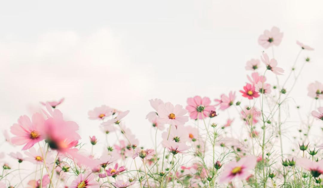 梁思成和林徽因孩子现在情况,林徽因和梁思成在学习的过程中