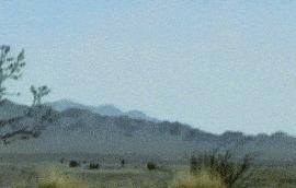 “老鼠贴粘到的，吃了不会犯法吧？”网友：争取死缓吧！哈哈哈