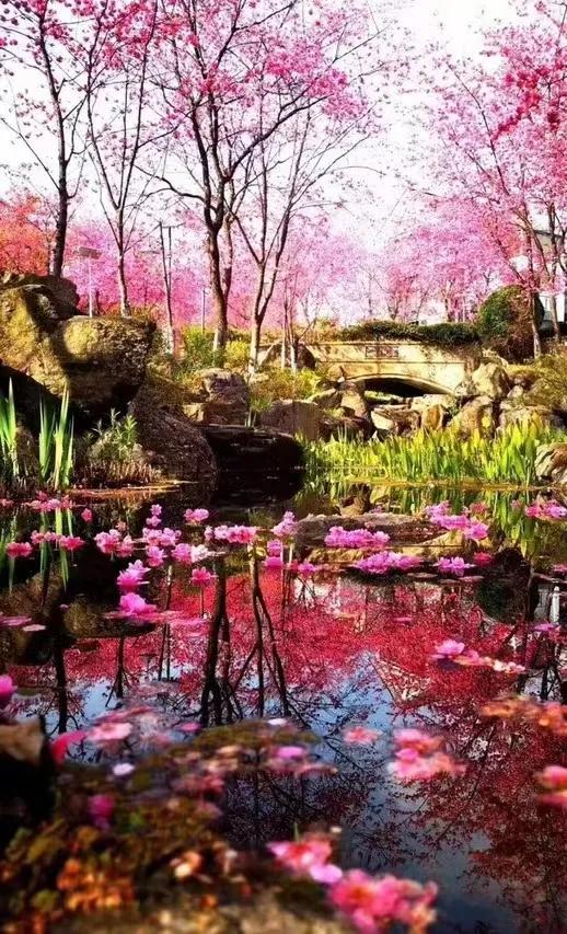 文献名邦在大理古城哪个门,文献名邦与白族服饰之美