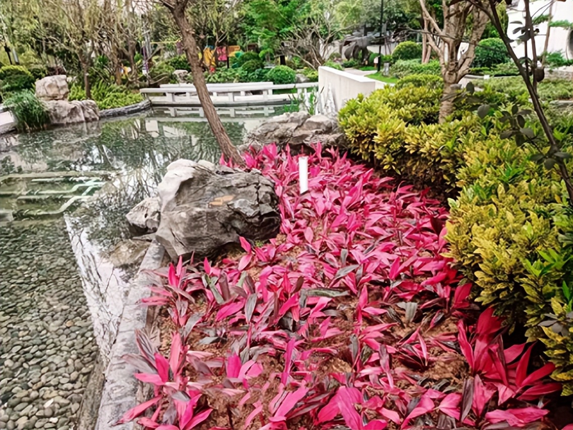 你们的小区绿化都是什么样的,小区绿化你觉得怎么样