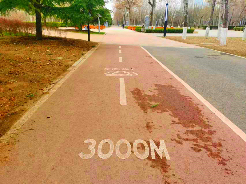 地铁达道附近有公园吗,地铁直达的昆明湿地公园