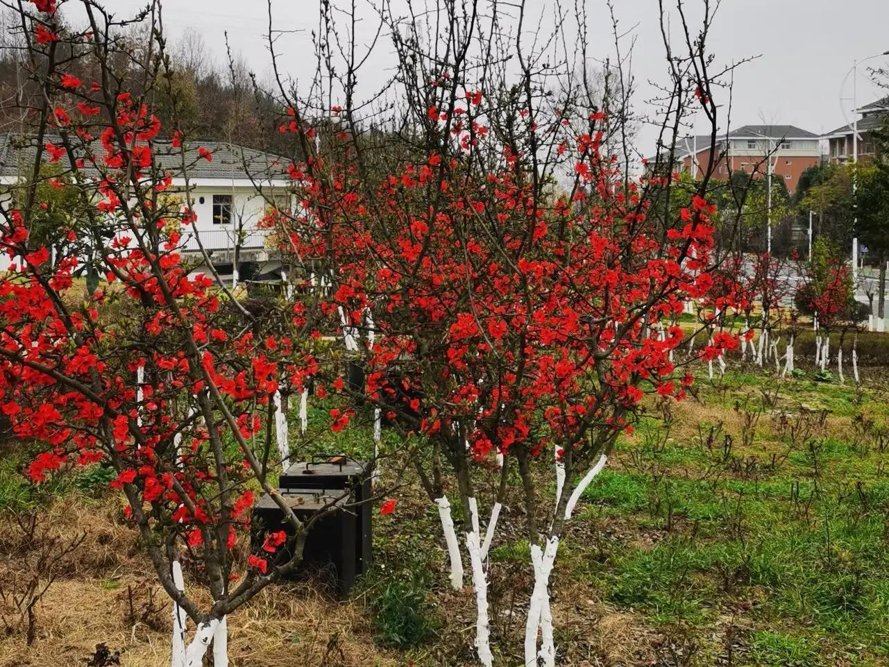 英语写作万能句型第八期,英语写作万能句大全