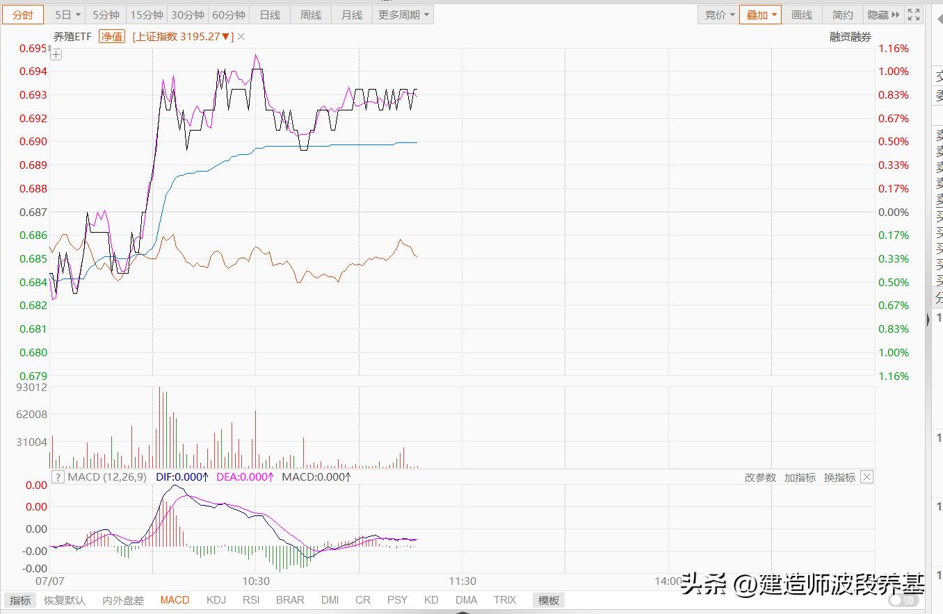 养殖流动资金,超大单和净大单大量买入