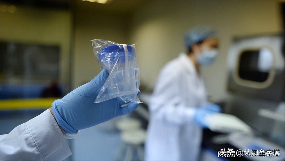 中国多地捐精合格率仅20%？男性精子腰斩50%，真相究竟是什么？
