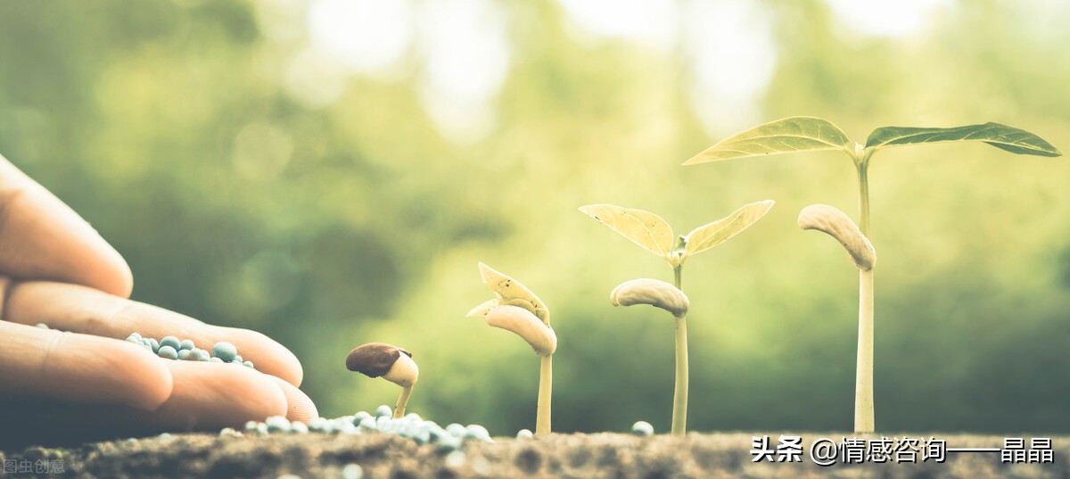 巨人升级最快的方法,两分钟带你了解巨人