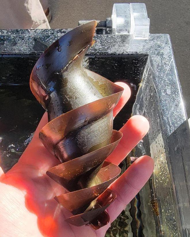 39张罕见的图片让人打开新世界,这32张罕见的图片你见过几张