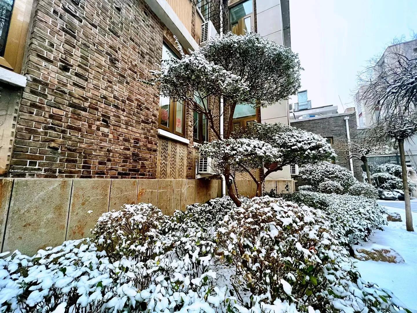 赞抗疫英雄七言律诗,赞抗疫医护诗词