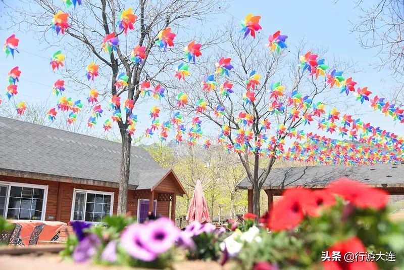 大连国庆遛娃好去处,大连春游遛娃最适合去的地方