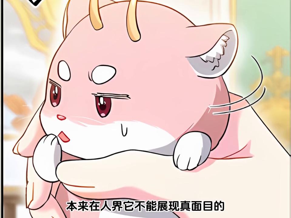 恐怖诡异可爱小仓鼠,看似很恐怖的实则很可爱的动物