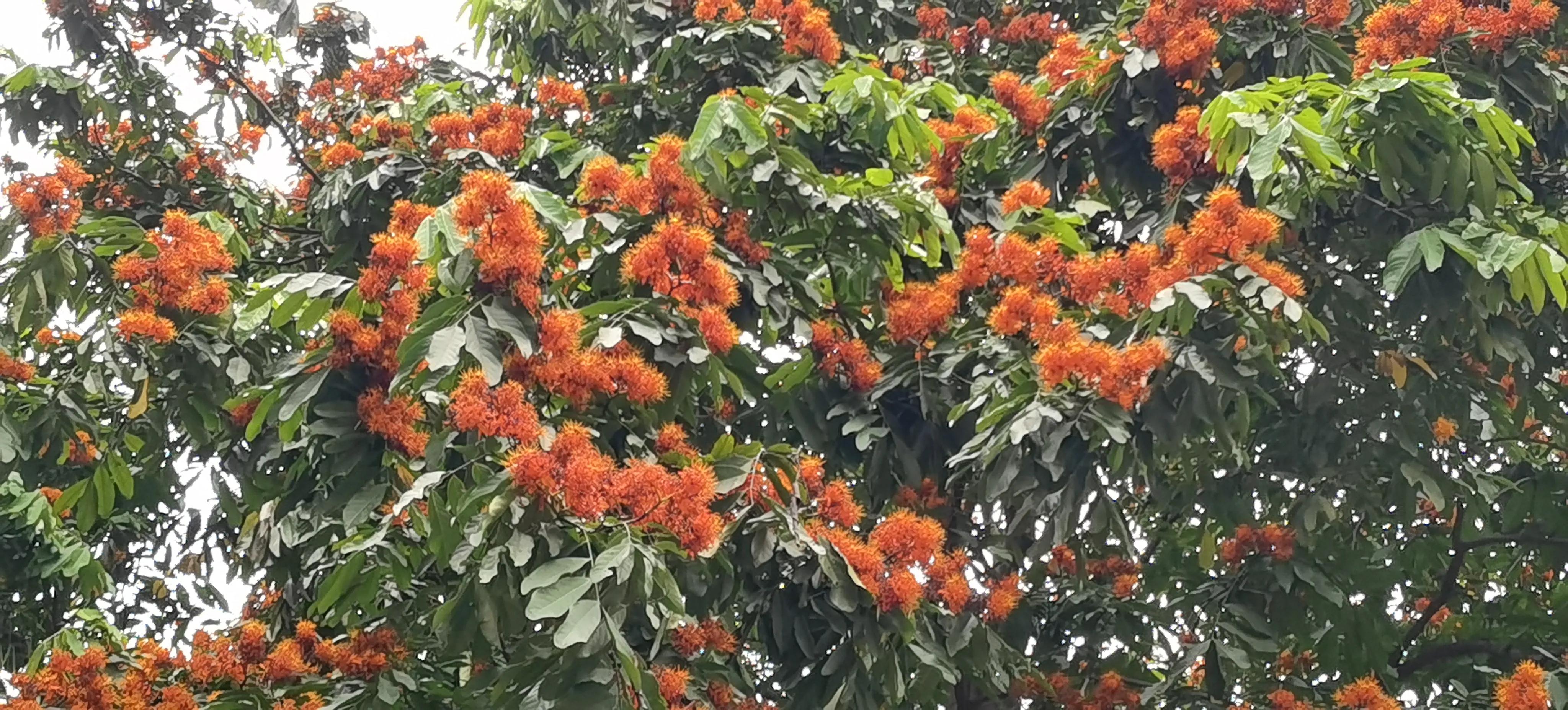 旅行日记记录一家人美好生活,旅行日记85天
