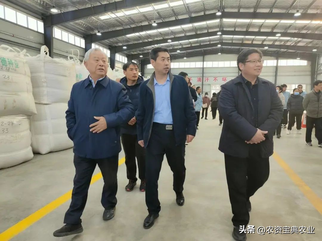 铸牢粮食安全新基石,筑牢粮食安全基石