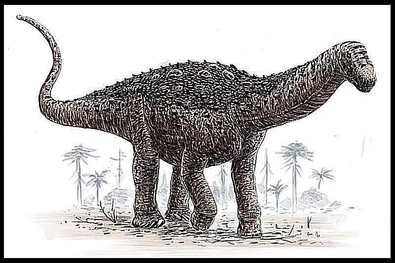 恐龙时代泰坦巨龙与雷龙,泰坦巨龙恐龙化石