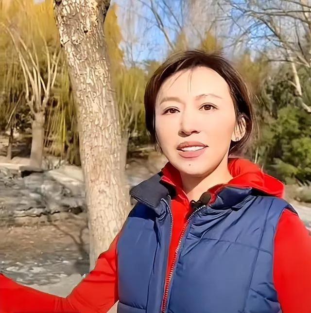 知名主持人海霞欧阳夏丹,央视欧阳夏丹海霞