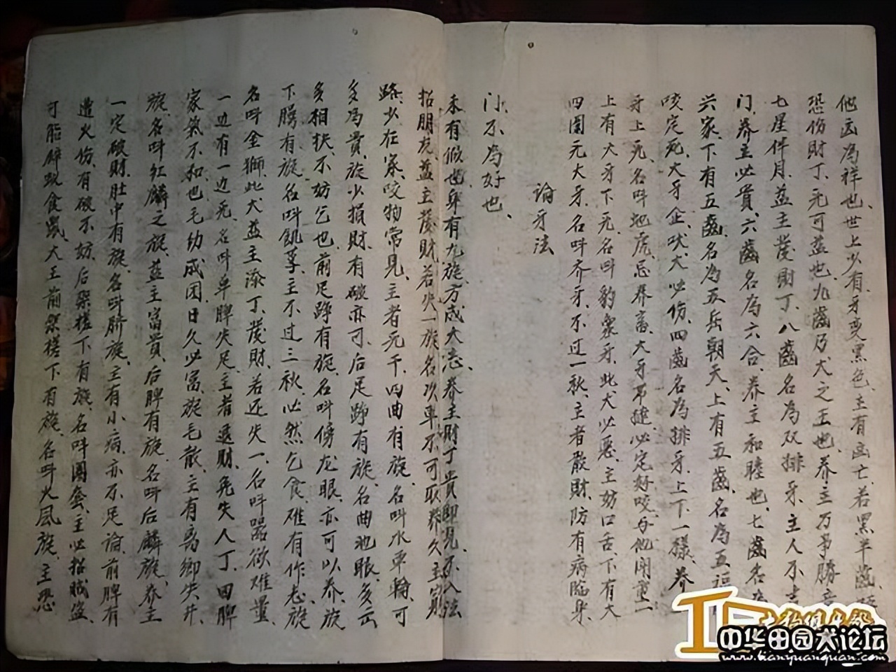 千古流传奇书都有哪些经典,千古难得一见的绝世奇书