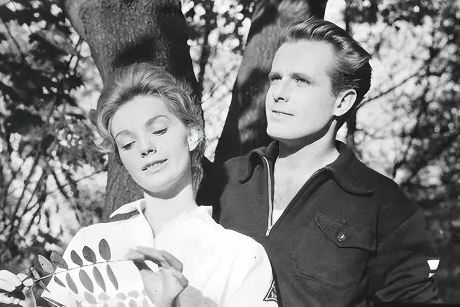 瓦格纳集团到底有多残酷,瓦格纳集团简介