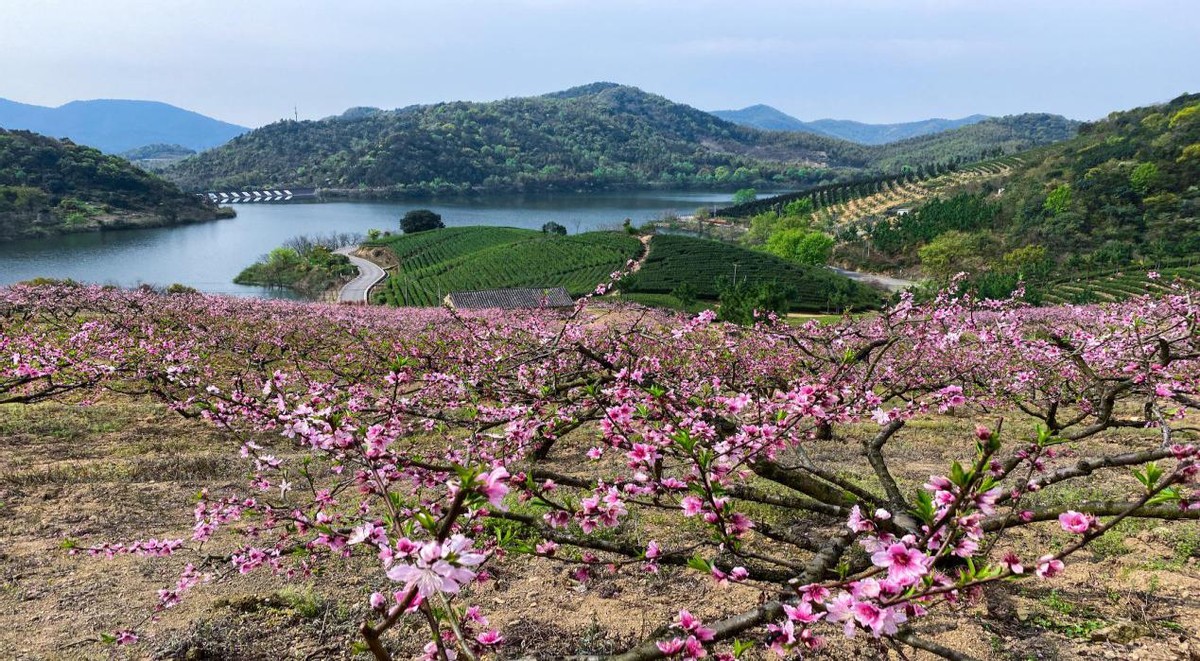 宁波九龙湖景观,宁波九龙湖湖畔