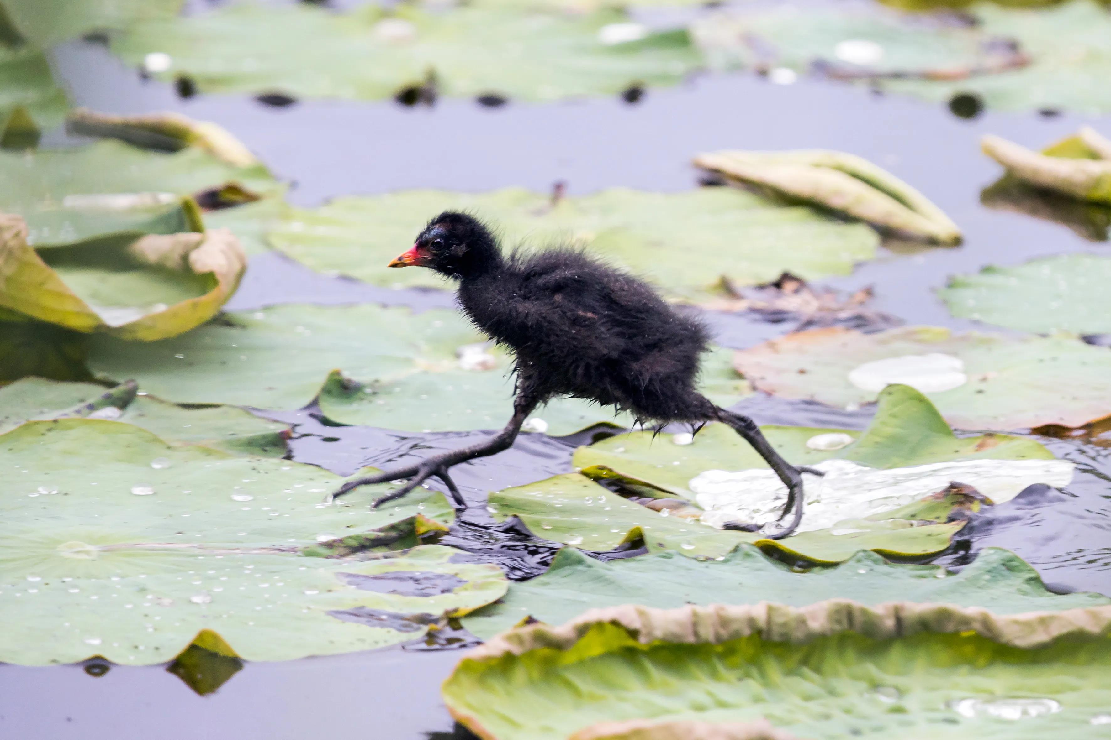 上海市嘉定区安亭国际汽车城,上海嘉定安亭国际汽车城