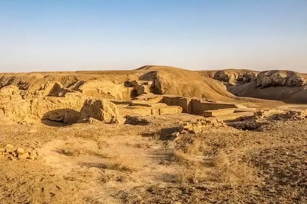 你不知道的国家冷知识尼日利亚篇,你不知道的国家冷知识突尼斯